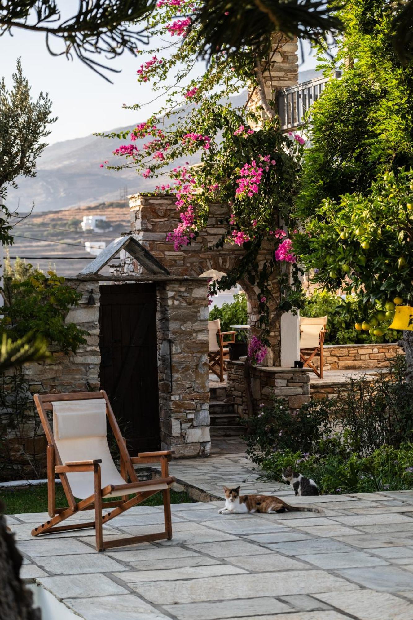 Romano Garden House - Land Tales Agios Romanos Zewnętrze zdjęcie