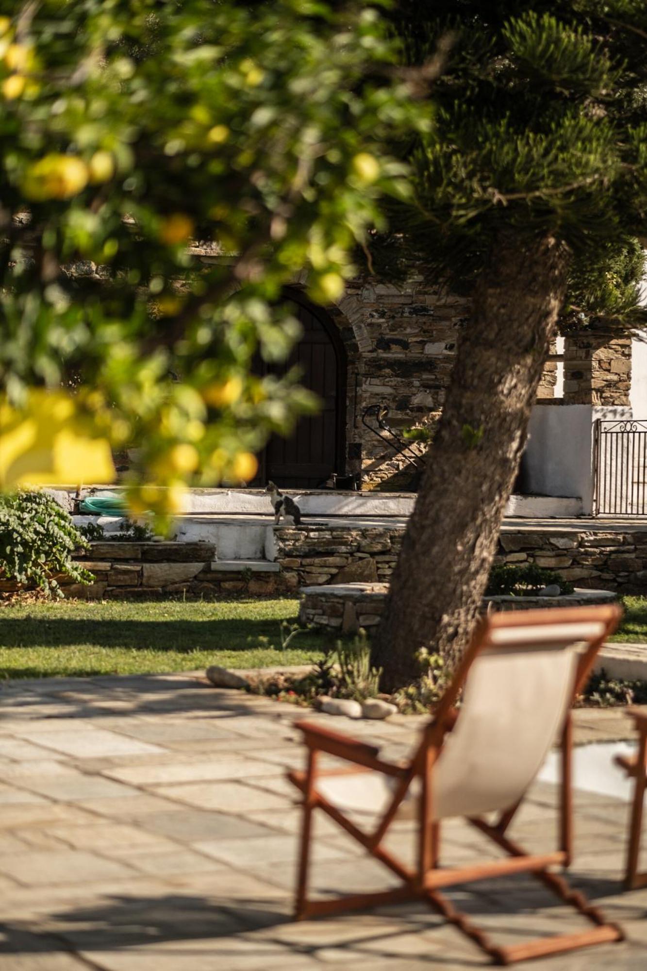 Romano Garden House - Land Tales Agios Romanos Zewnętrze zdjęcie